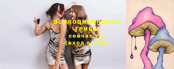 не бодяженный Балахна