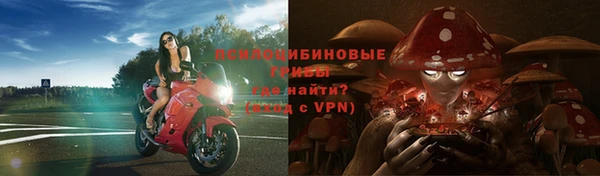 apvp Аркадак